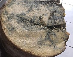 Mağara Keçi Deri Küflü Peynir 500 gr