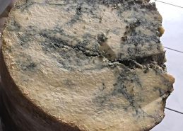 Mağara Keçi Deri Küflü Peynir 500 gr