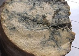 Mağara Keçi Deri Küflü Peynir 500 gr